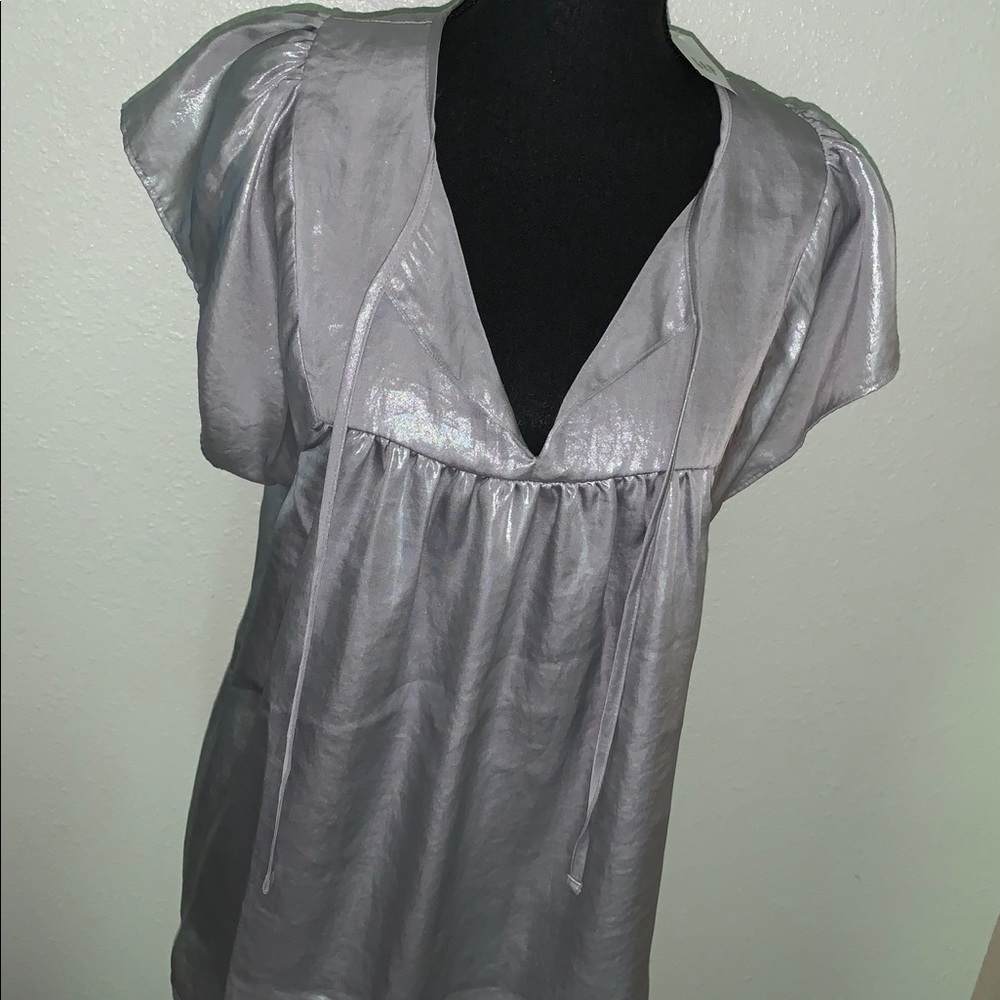 Ladies Large shimmery GAP blouse